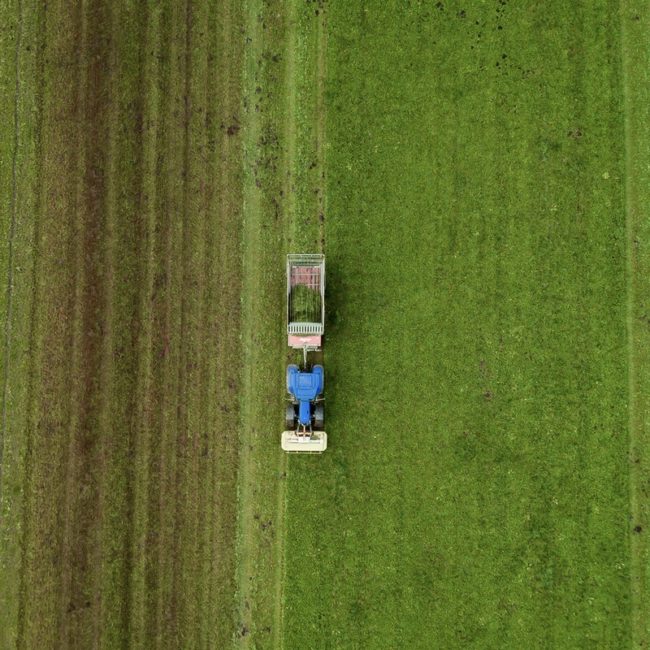 Agriculture Blue tractor in the middle of the picture mowing a grass field.