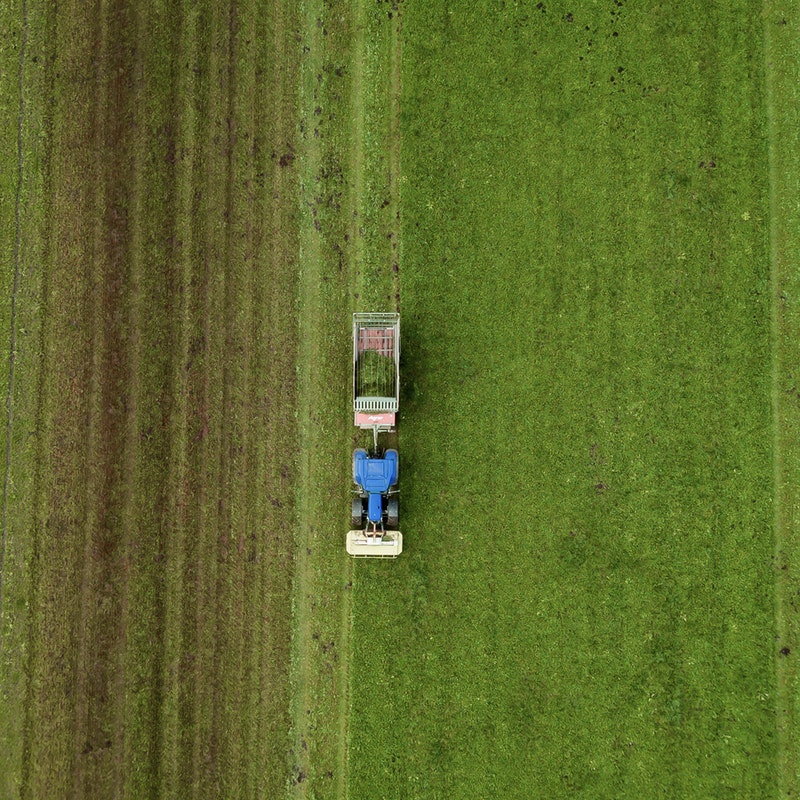 Blue tractor in the middle of the picture mowing a grass field.