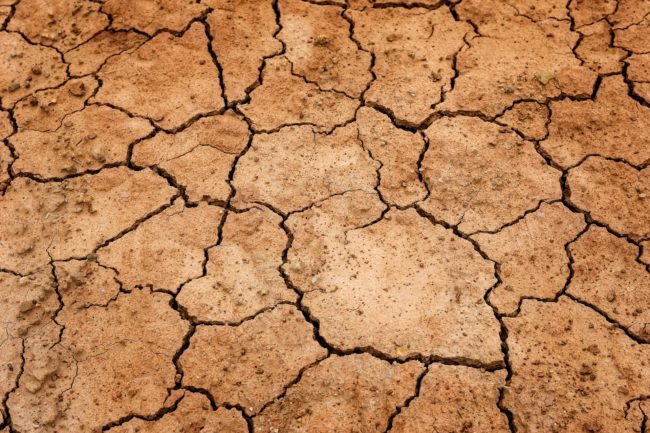 Dry soil during a drought period.