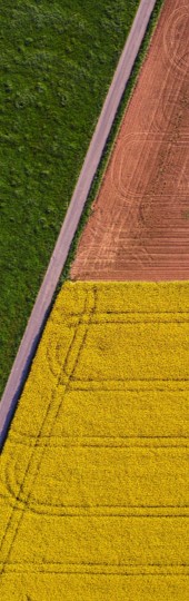 Top view of a field which is partly meadow, partly red and partly yellow.